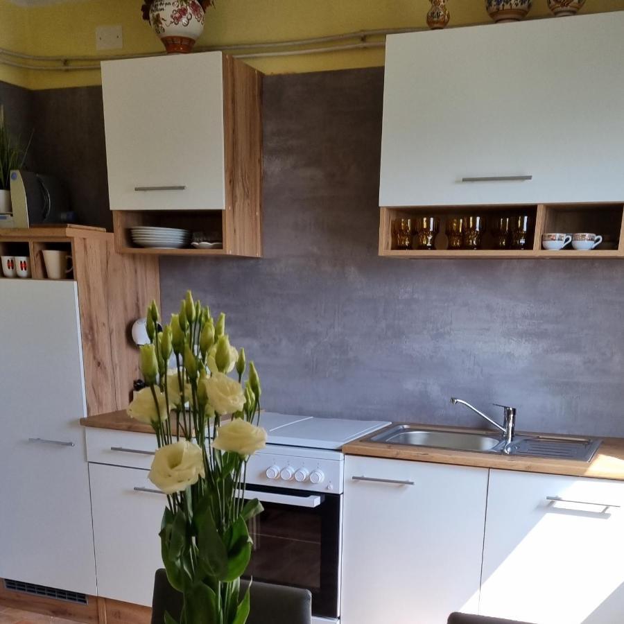 Apartma Tanja -Kamnik Exterior foto